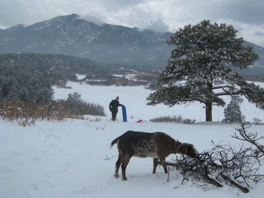 Cuzco_Sledding1