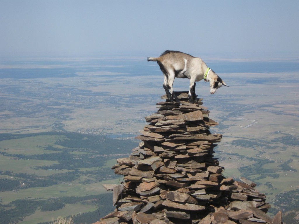 Nibs_Cairn