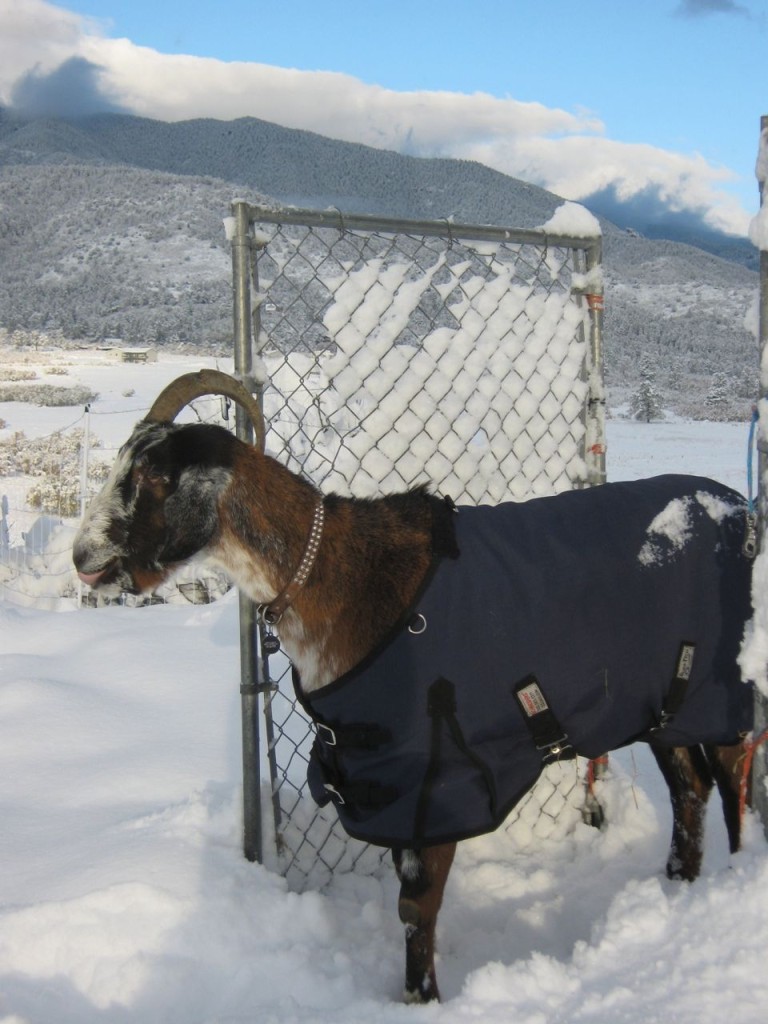 Cuzco_Oct.Snow